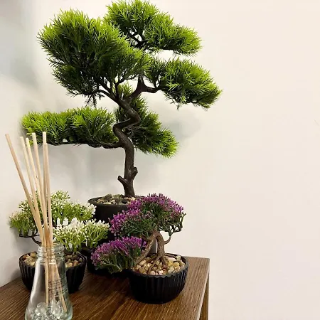 Appartement Sea Garden Pearl - *